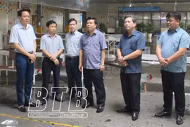 Thái Bình: Khẩn trương khắc phục hậu quả bão lũ, sớm ổn định sản xuất kinh doanh