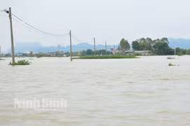 Lũ trên sông Hoàng Long và sông Đáy đang xuống, Ninh Bình dừng thực hiện Lệnh di dân