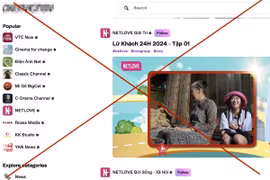Bộ TT&TT yêu cầu hai công ty quốc tế không đặt quảng cáo vi phạm pháp luật Việt Nam