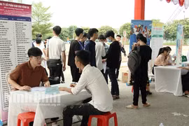Ninh Bình: Giải quyết việc làm cho 10.966 người lao động trong 6 tháng đầu năm