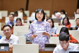 Đại biểu Quốc hội lo ngại việc người chưa thành niên bị lôi kéo, thuê mướn để thực hiện hành vi phạm tội