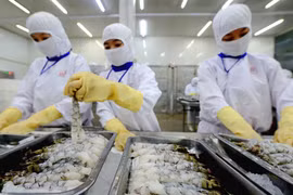 'Ông lớn' xuất khẩu tôm Thực phẩm Sao Ta (FMC) dòng tiền kinh doanh âm 107 tỷ, vay nợ thêm 241 tỷ đồng