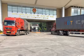 Cửa khẩu quốc tế Kim Thành (Lào Cai) xuất khẩu chính ngạch lô dừa tươi đầu tiên sang thị trường Trung Quốc