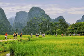 Truyền thông quốc tế nêu 4 trải nghiệm thú vị nhất định phải thử khi du lịch Việt Nam