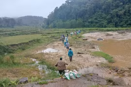Kon Tum: Hơn 100 người tìm kiếm người phụ nữ mất tích nhiều ngày trong rừng sâu