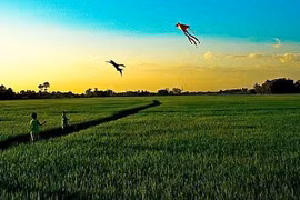 Một bài thơ góp sức 'giải mã' một câu hỏi thường nhật