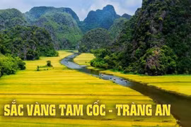 Ninh Bình chuẩn bị chu đáo cho Tuần Du lịch năm 2024