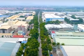 Đình chỉ hoạt động một công ty vi phạm về an toàn PCCC tại huyện Mê Linh