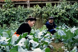 Đảm bảo quyền lợi BHYT cho người dân tại các địa bàn ATK