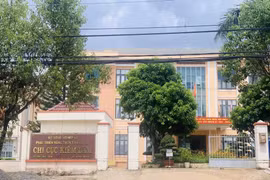 Chi cục Trưởng Chi cục Kiểm lâm Gia Lai nghỉ hưu trước tuổi