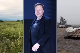 Elon Musk bị kiện 20 triệu USD vì bị cho là xâm phạm đất đai biên giới Texas