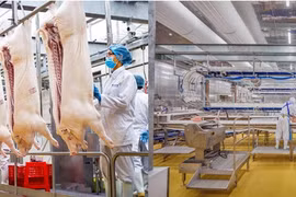 Yếu tố tạo đà cho lợi nhuận của Masan MEATLife trong cuối năm 2024