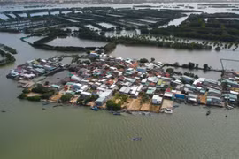 Ngắm nhìn vẻ đẹp nên thơ trữ tình của đầm Thị Nại - Quy Nhơn
