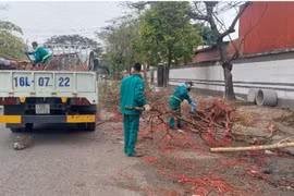 Công ty Môi trường đô thị Hải Phòng: Gìn giữ cảnh quan môi trường phục vụ nhân dân vui Tết, đón Xuân