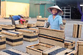 TP Hà Nội công nhận danh hiệu 14 làng nghề