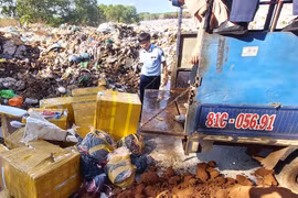 Gia Lai: Tiêu hủy gần 700kg thịt bốc mùi hôi thối chuẩn bị được tiêu thụ tại các nhà hàng