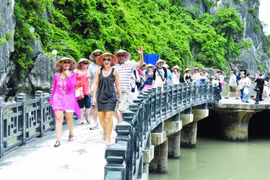 Đặt mục tiêu tăng ít nhất 2 bậc xếp hạng Năng lực phát triển du lịch và lữ hành