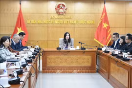 Phát huy “sức mạnh mềm” của cộng đồng người Việt Nam ở nước ngoài