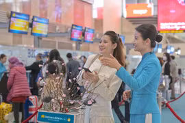 Vietnam Airlines mang đào, mai về nhà cho hành khách