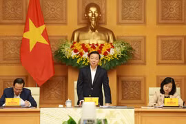 Phó Thủ tướng Trần Hồng Hà: Đánh giá tác động của các nền tảng xã hội trực tuyến đối với trẻ em