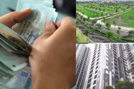 Chính phủ thông qua đề nghị xây dựng Luật sửa đổi, bổ sung một số điều của 4 Luật