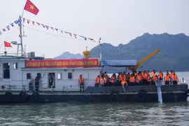Hải Phòng: Thả trên 1 triệu con giống thủy sản xuống biển
