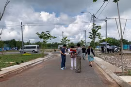 Thị trường đất nền đang hồi phục nhanh hơn dự báo