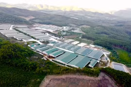 Thanh Hóa: Xử phạt trang trại lợn Tâm Việt 120 triệu đồng