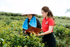 Agribank đồng hành tháo gỡ khó khăn, đẩy mạnh cung ứng vốn nền kinh tế