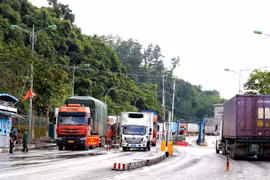 Điều kiện về giấy tờ của các phương tiện vận tải hàng hoá có hiệu lực từ ngày 01/8