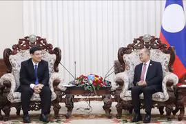 Lãnh đạo Lào đánh giá cao vai trò của Hội Hữu nghị Việt Nam - Lào