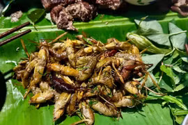 Đặc sản dân dã muồm muỗm hiếm có khó mua, giá gần 1 triệu đồng/kg