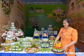 Thưởng thức những món ăn nổi tiếng vùng miền tại Festival Thu Hà Nội
