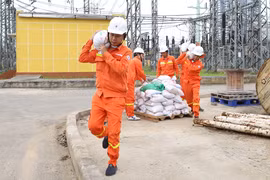 EVNNPT chủ động các phương án truyền tải điện an toàn trước diễn biến bất thường của mưa lũ, sạt lở đất