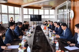 Hội Nhà báo Việt Nam coi trọng đa dạng hóa hợp tác với báo chí Thái Lan