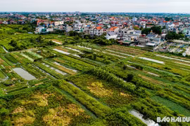 Hải Dương là điểm sáng trong xây dựng các văn bản quy phạm pháp luật thực hiện Luật Đất đai năm 2024