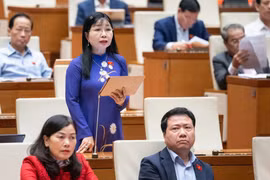 Cử tri và nhân dân bức xúc trước thực trạng dữ liệu cá nhân bị lộ lọt, mua bán