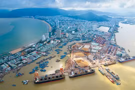 Cảng Quy Nhơn (QNP): Kế hoạch lãi 195 tỷ đồng năm 2026 đi ngang, giảm mạnh đầu tư về dưới 200 tỷ đồng