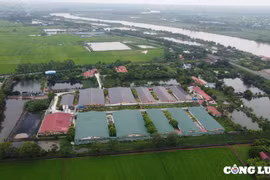 Đông Hưng (Thái Bình): Người dân thôn Đông Hòa bức xúc vì ô nhiễm môi trường tại trang trại lợn ở xã Đông Á