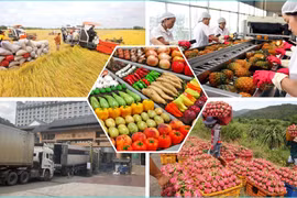 Khai thác tối đa thị trường nội địa, khơi thông hàng hóa nông sản vào thị trường Trung Quốc