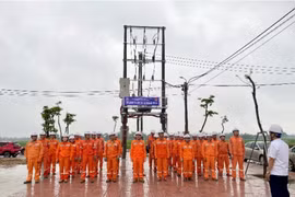 Hãy chạy marathon, đừng đi bộ để tìm tổn thất!