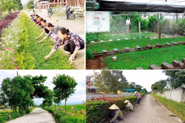 Xây dựng nông thôn mới ở Quảng Bình – "Vẽ cả ngày mai thành bức tranh"