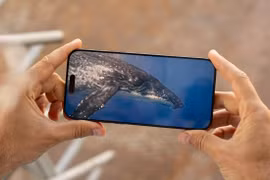 Apple vẫn mơ về iPhone không viền