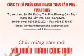 Công ty Cổ phần Kinh doanh Than Cẩm Phả - Vinacomin