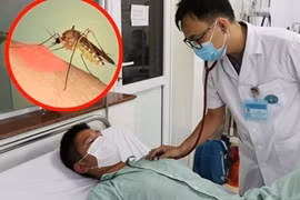 Thêm nhiều ca sốc nặng, dịch sốt xuất huyết chưa hạ nhiệt ở TPHCM