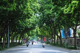 Dự báo thời tiết ngày 16/9: Bắc Bộ nhiều mây, Nam Bộ mưa lớn kéo dài