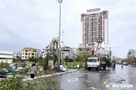 Quảng Ninh: Tổ chức kỳ họp bất thường để kịp thời xử lý hậu quả của cơn bão số 3