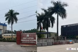 Thái Nguyên: Loạt gói thầu mua xi măng xây dựng kết cấu hạ tầng về tay 'nhà thầu quen'