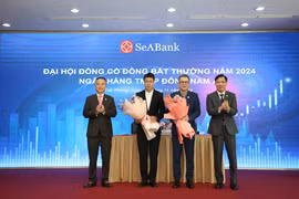 SeABank nâng cao năng lực Ban kiểm soát để tăng cường khả năng giám sát và phát triển bền vững cho Ngân hàng