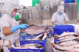 Doanh thu tháng 10 khởi sắc, Vĩnh Hoàn (VHC) vẫn tiếp tục báo lỗ từ đầu tư chứng khoán